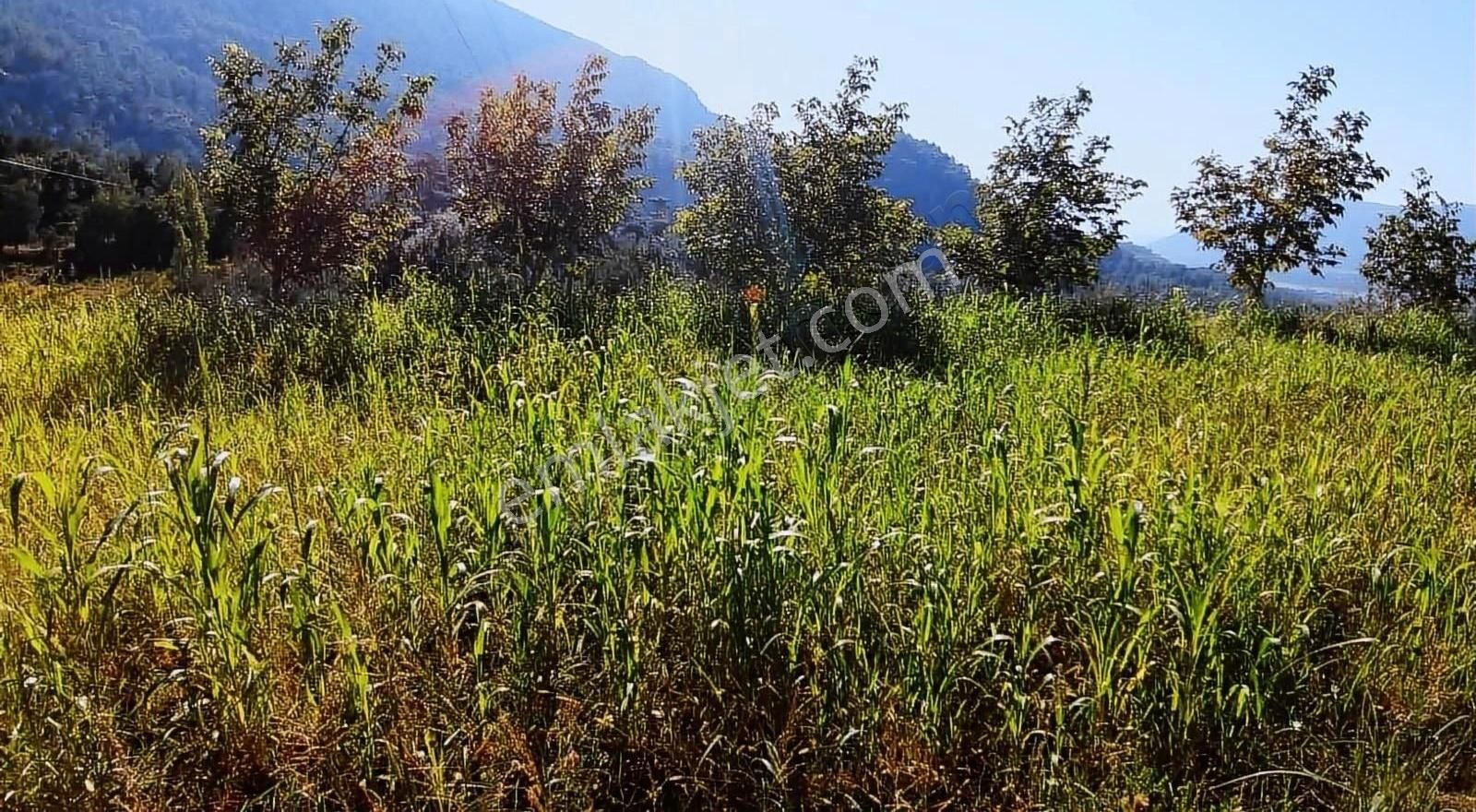 Muğla Seydikemer Söğütlüdere Mah. De K. İçi - Görsel 15