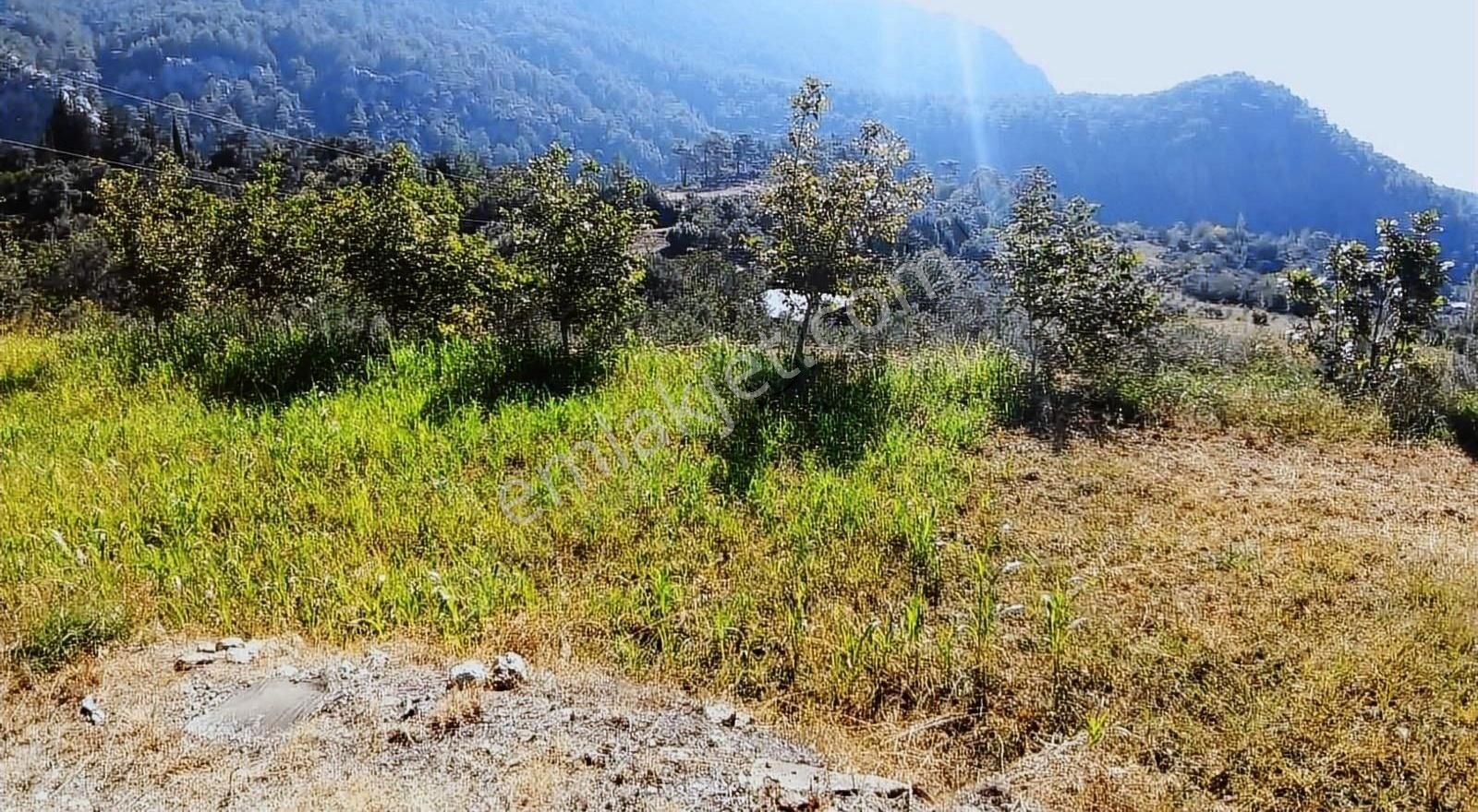 Muğla Seydikemer Söğütlüdere Mah. De K. İçi - Görsel 3