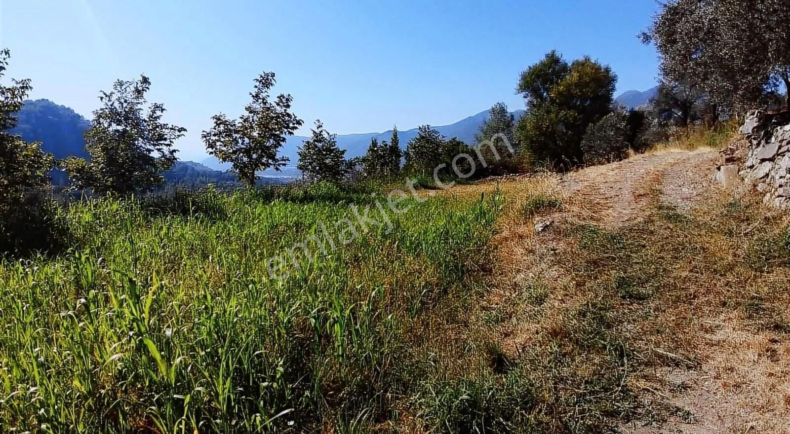 Muğla Seydikemer Söğütlüdere Mah. De K. İçi - Görsel 2