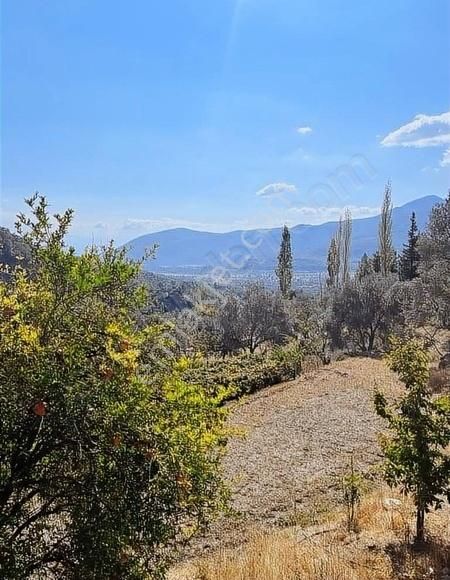 Seydikemer Söğütlüdere Satılık Konut İmarlı Muğla Seydikemer Söğütlüdere Mah. De K. İçi