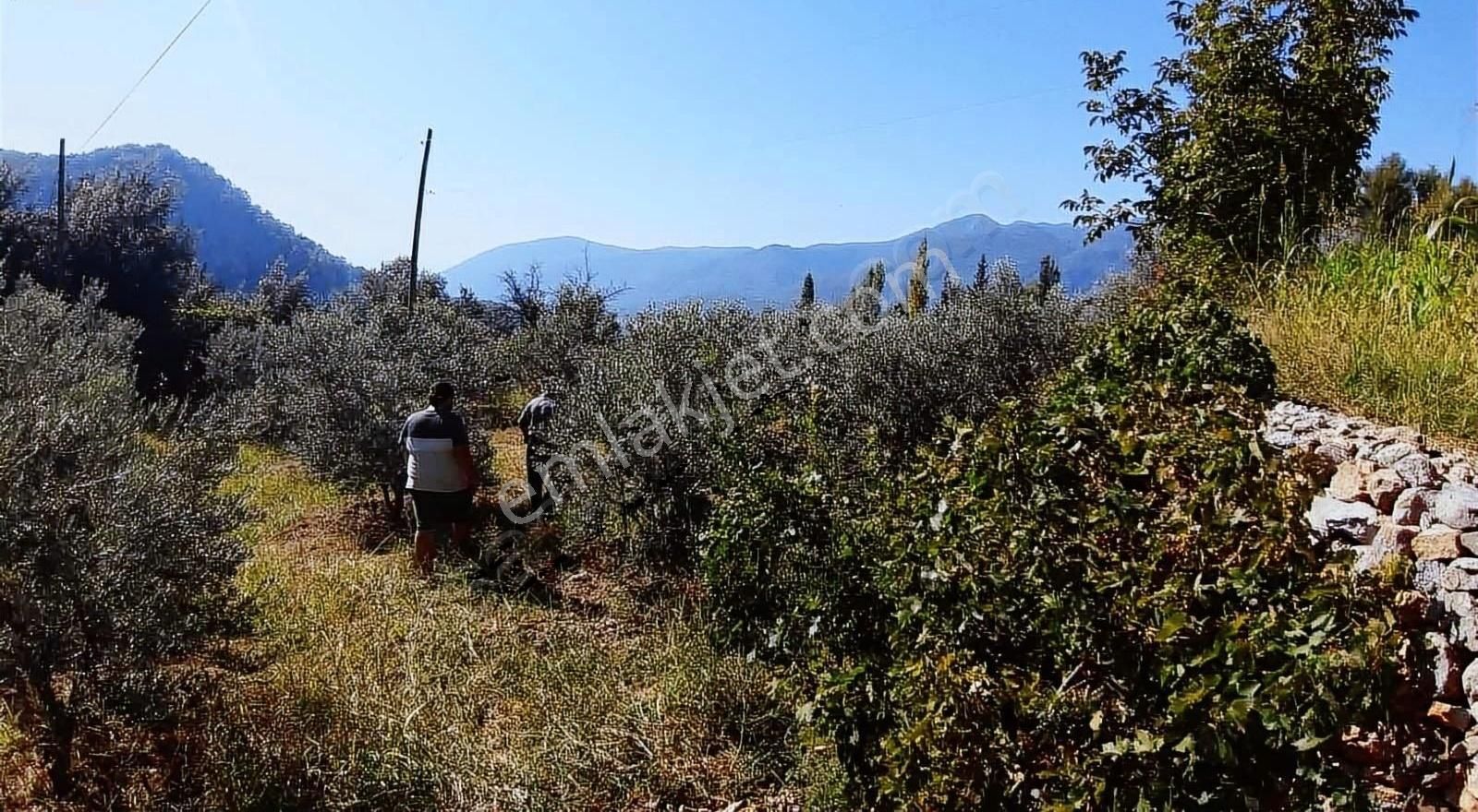 Muğla Seydikemer Söğütlüdere Mah. De K. İçi - Görsel 13