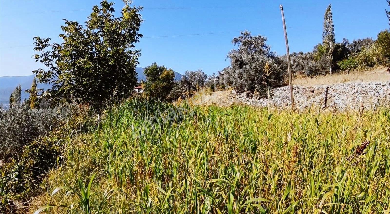 Muğla Seydikemer Söğütlüdere Mah. De K. İçi - Görsel 6