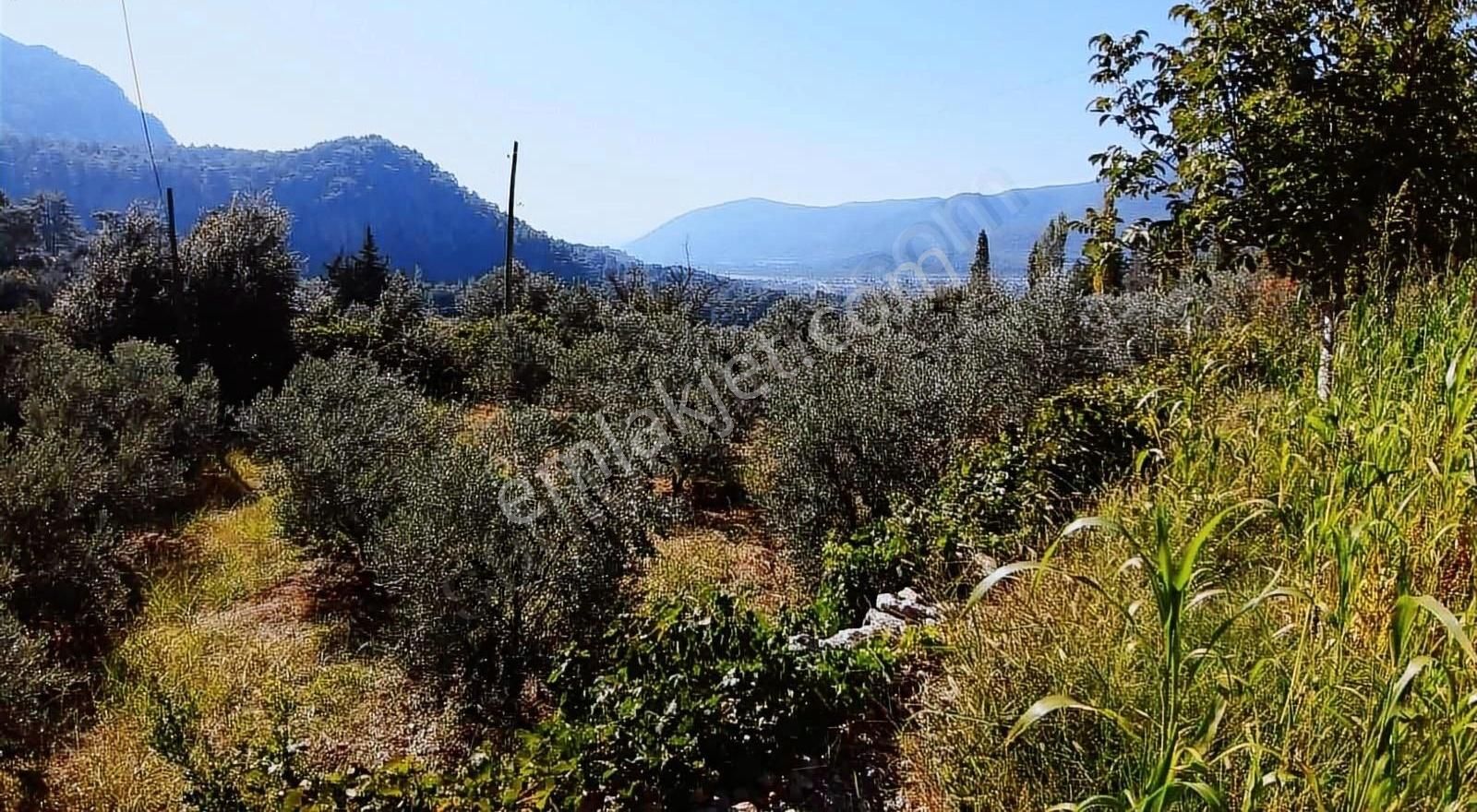 Muğla Seydikemer Söğütlüdere Mah. De K. İçi - Görsel 12