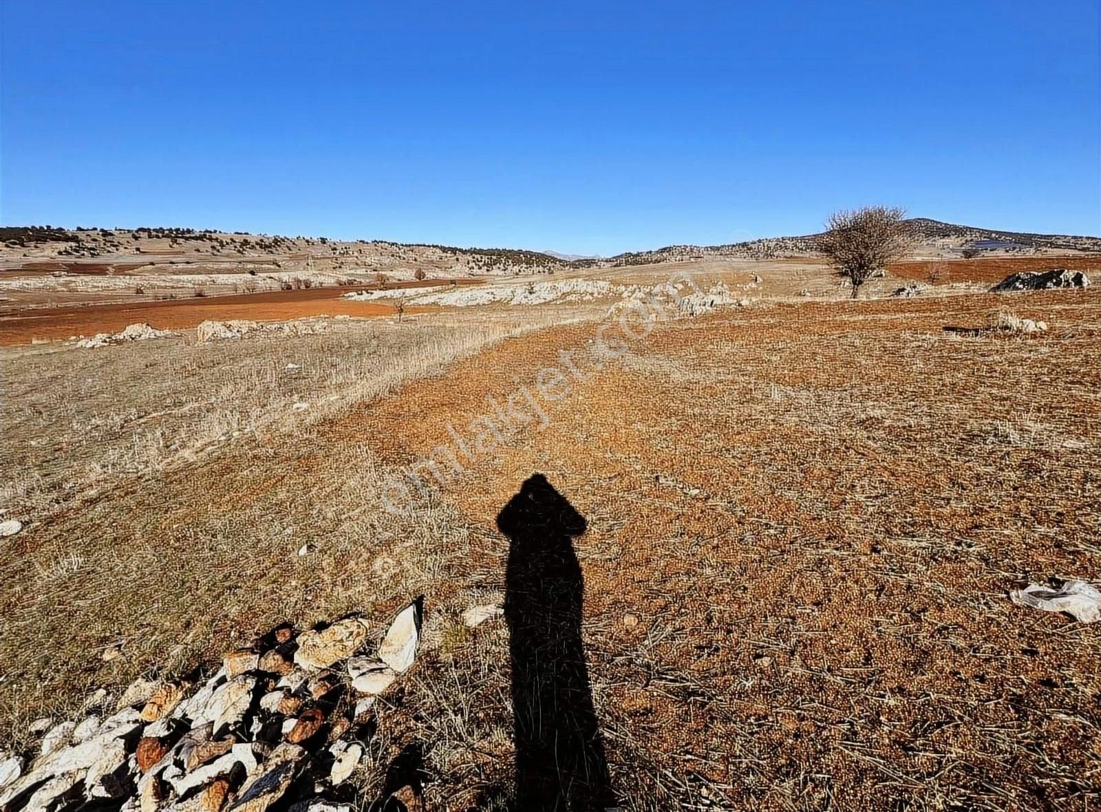 Seydikemer Zorlar Satılık Tarla Yayla Zorlarda Parça Parça Yanyana Sulu 48.000 M2 Tarla