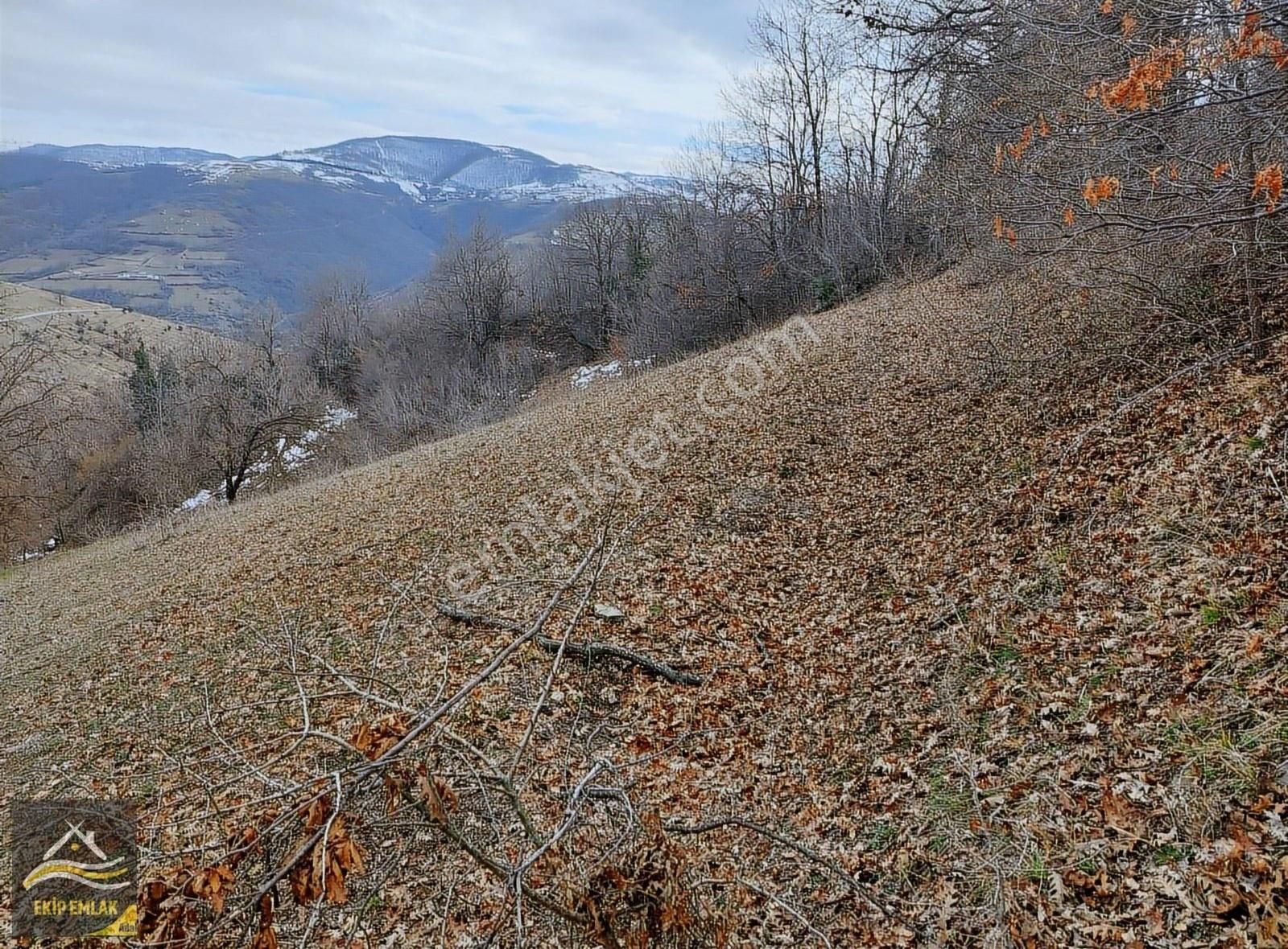 İlkadım Aşağıavdan Satılık Tarla Ekip Emlaktan Ilkadım Aşağıavdanda 2369m2 Tarla Yol Kenarı