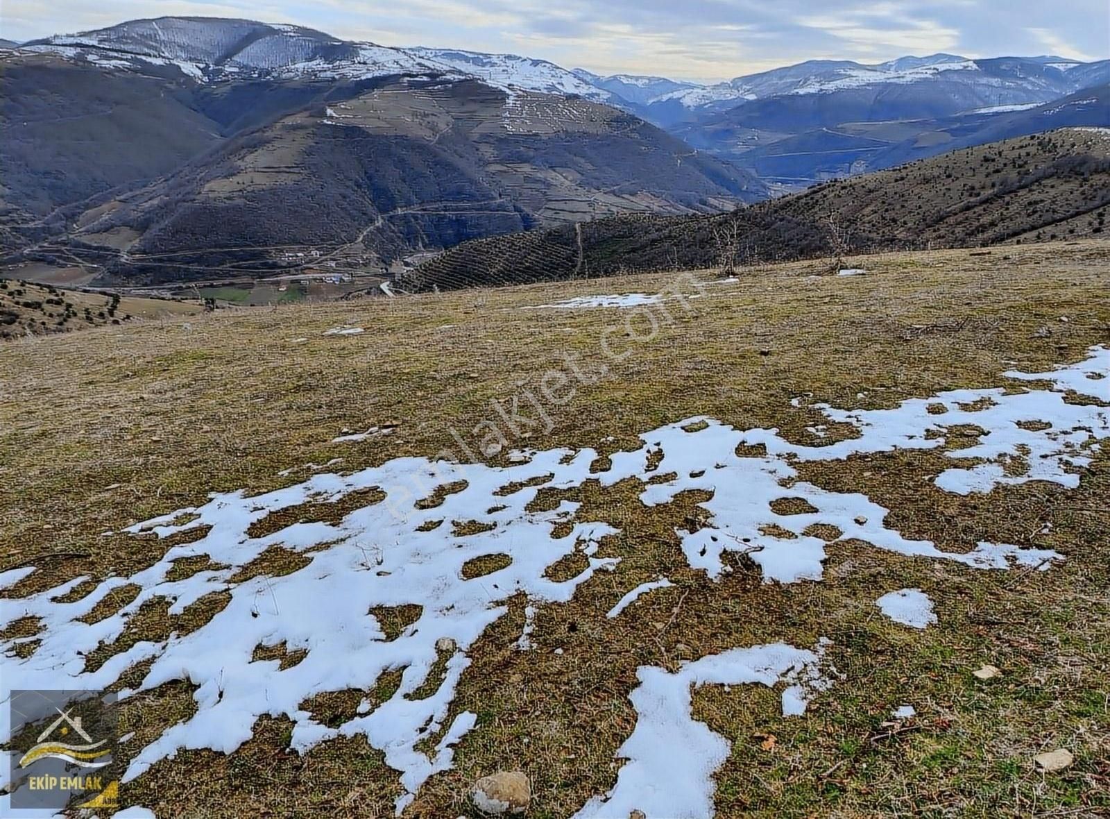 İlkadım Aşağıavdan Satılık Tarla Ekip Emlaktan İlkadım Asağı Avdanda 2671m2 Tarla Fırsat