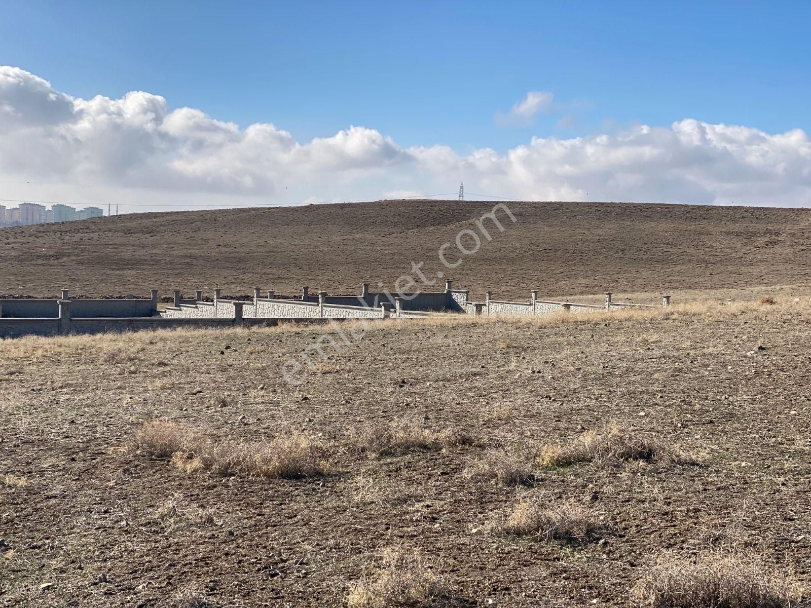 Niğde Merkez Efendibey Satılık Konut İmarlı Niğde Merkez Efendibey Mh.amas Bağlarına Yakın950m2 Satılık Arsa