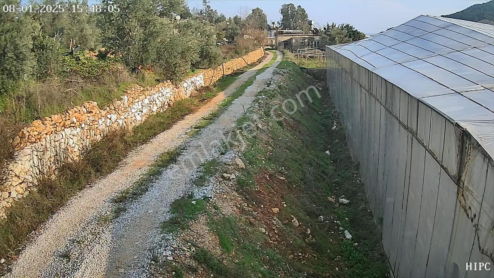 Aslıhan Gayrimenkul'den Ören Kuzeyyurt Mahallesinde Satılık Muz Ve Avakado Bahçesi - Görsel 17