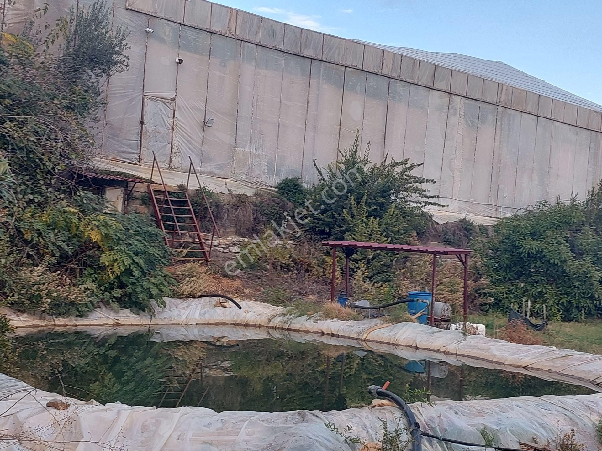 Aslıhan Gayrimenkul'den Ören Kuzeyyurt Mahallesinde Satılık Muz Ve Avakado Bahçesi - Görsel 35