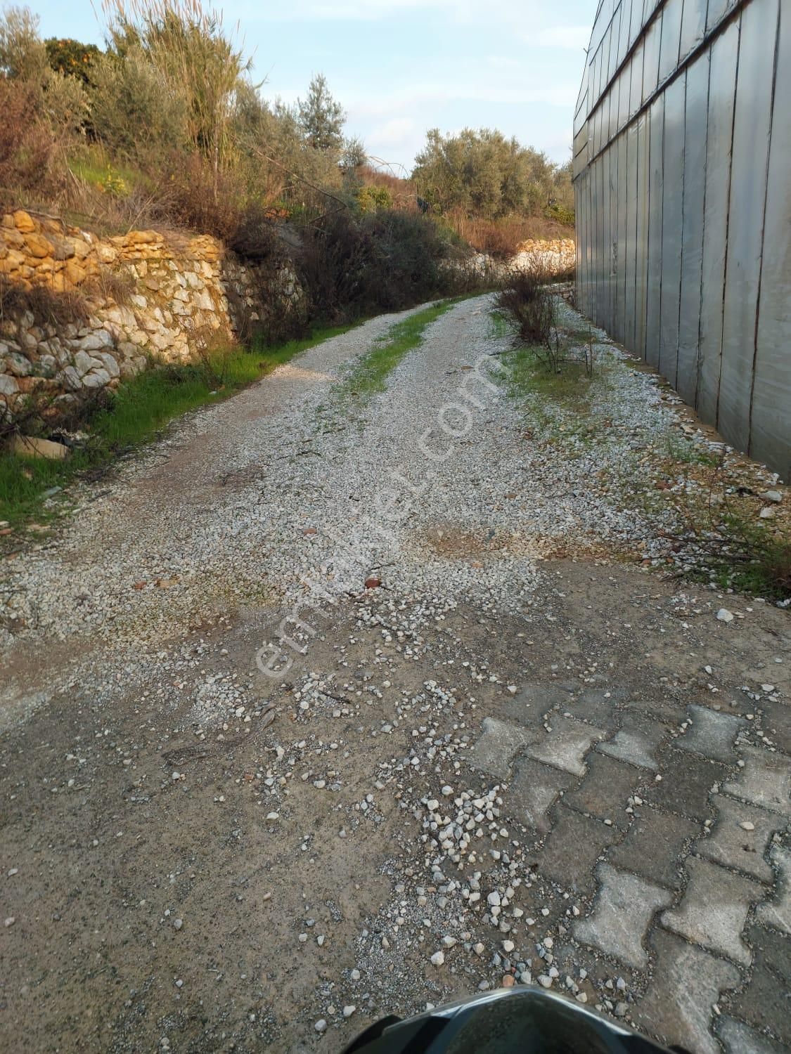Aslıhan Gayrimenkul'den Ören Kuzeyyurt Mahallesinde Satılık Muz Ve Avakado Bahçesi - Görsel 8