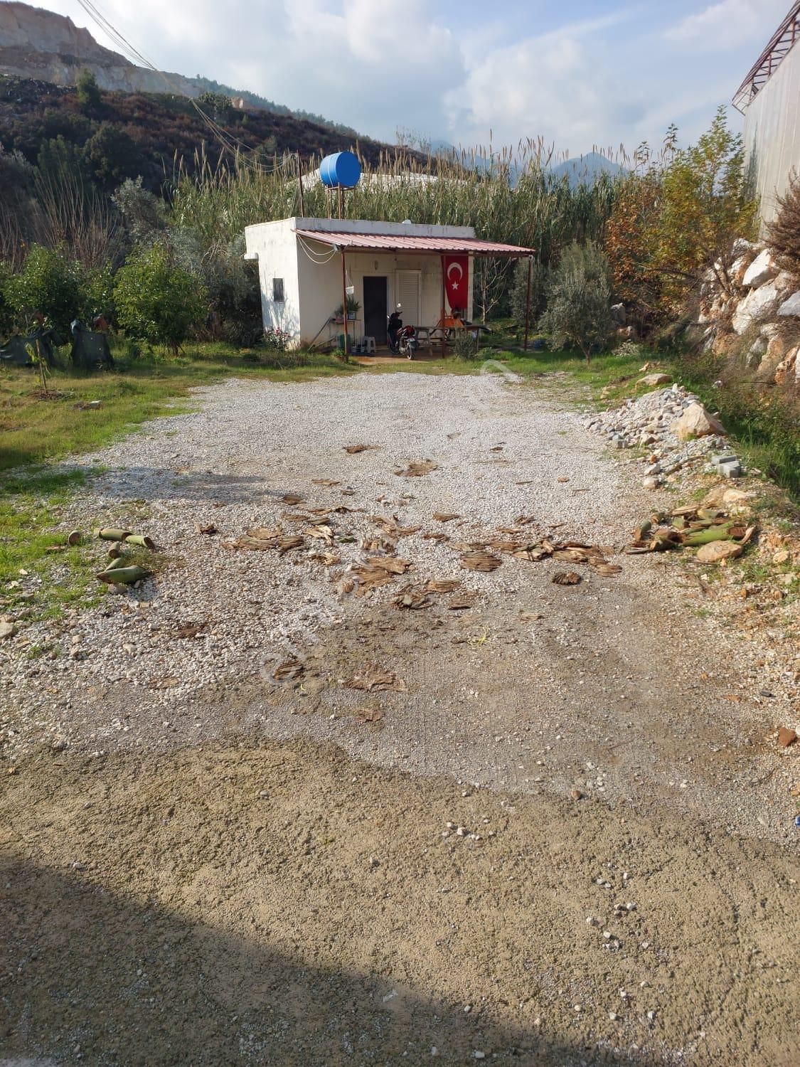 Aslıhan Gayrimenkul'den Ören Kuzeyyurt Mahallesinde Satılık Muz Ve Avakado Bahçesi - Görsel 9