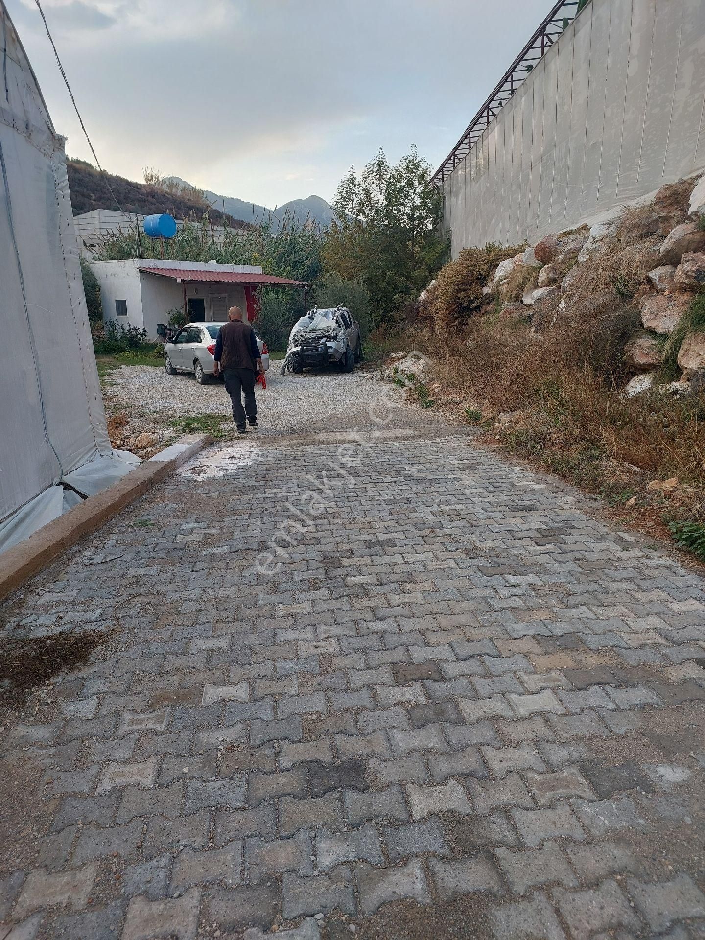 Aslıhan Gayrimenkul'den Ören Kuzeyyurt Mahallesinde Satılık Muz Ve Avakado Bahçesi - Görsel 30