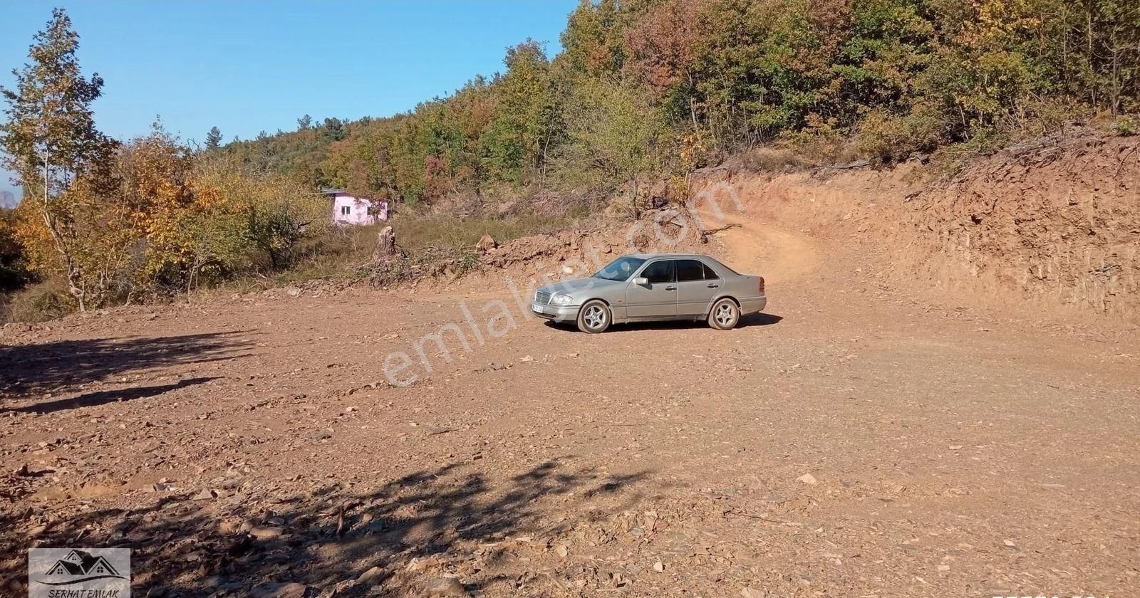 Turgutlu Dağyeniköy Satılık Bağ & Bahçe Turgutlu Satılık Bağ Bahçe 708m2 Müstakil Tapulu Tapular Ayrı 3 Adet Yer Satılıktır Yolu Var