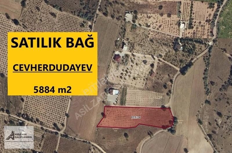 Nevşehir Merkez Cevher Dudayev Satılık Bağ & Bahçe Asilzade Den Cevher 'de Satılık Bağ 5884 M2