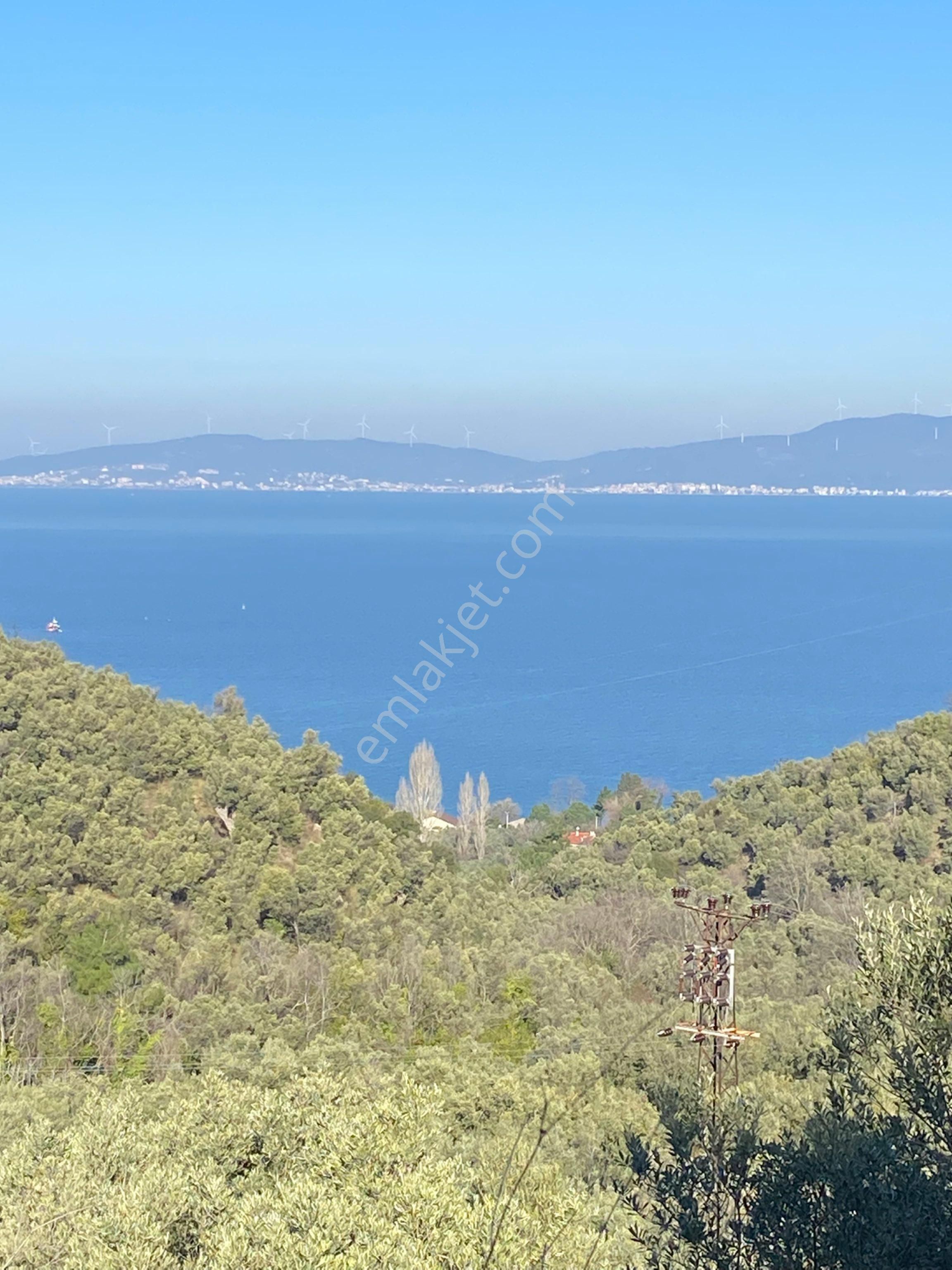 Mudanya Kumyaka Satılık Zeytinlik Satılık Mudanya Kumyaka Mah 2370m2 Resmi Yola Cephe Full Deniz Manzaralı Fırsat Arazi