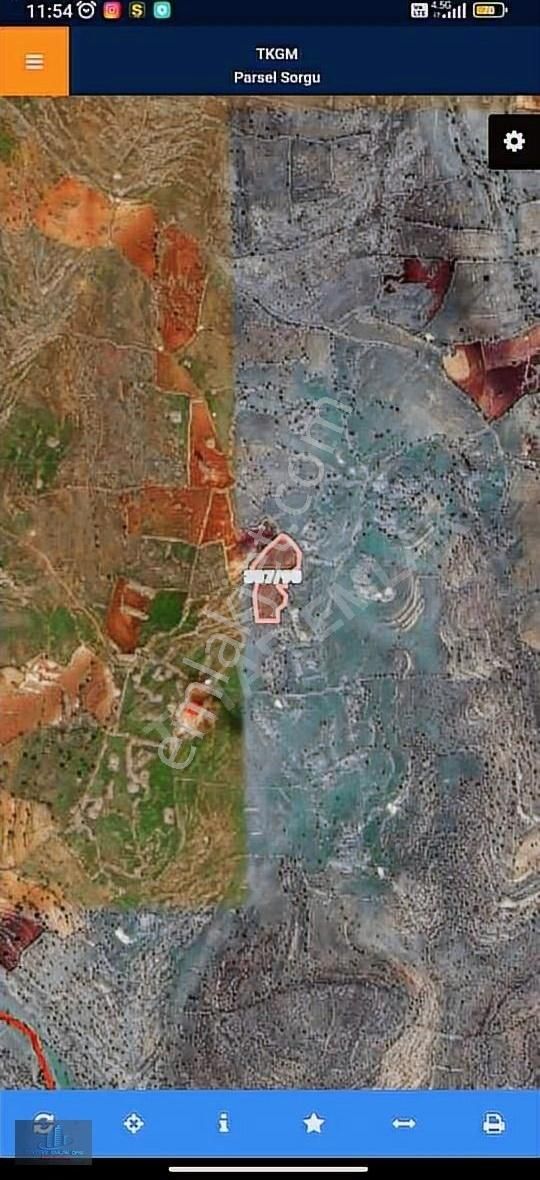 Dargeçit Safa Satılık Tarla Mardin Dargeçit Safa Mevkiinde 4544 M2 Müstakil Tarla