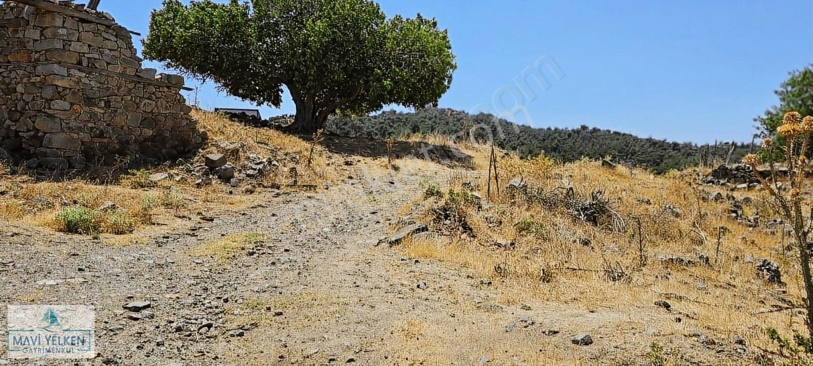 Çanakkale Merkez Serçiler Köyü Satılık Bağ & Bahçe Çanakkale Merkez Serçiler Köyü Satılık Bahçe