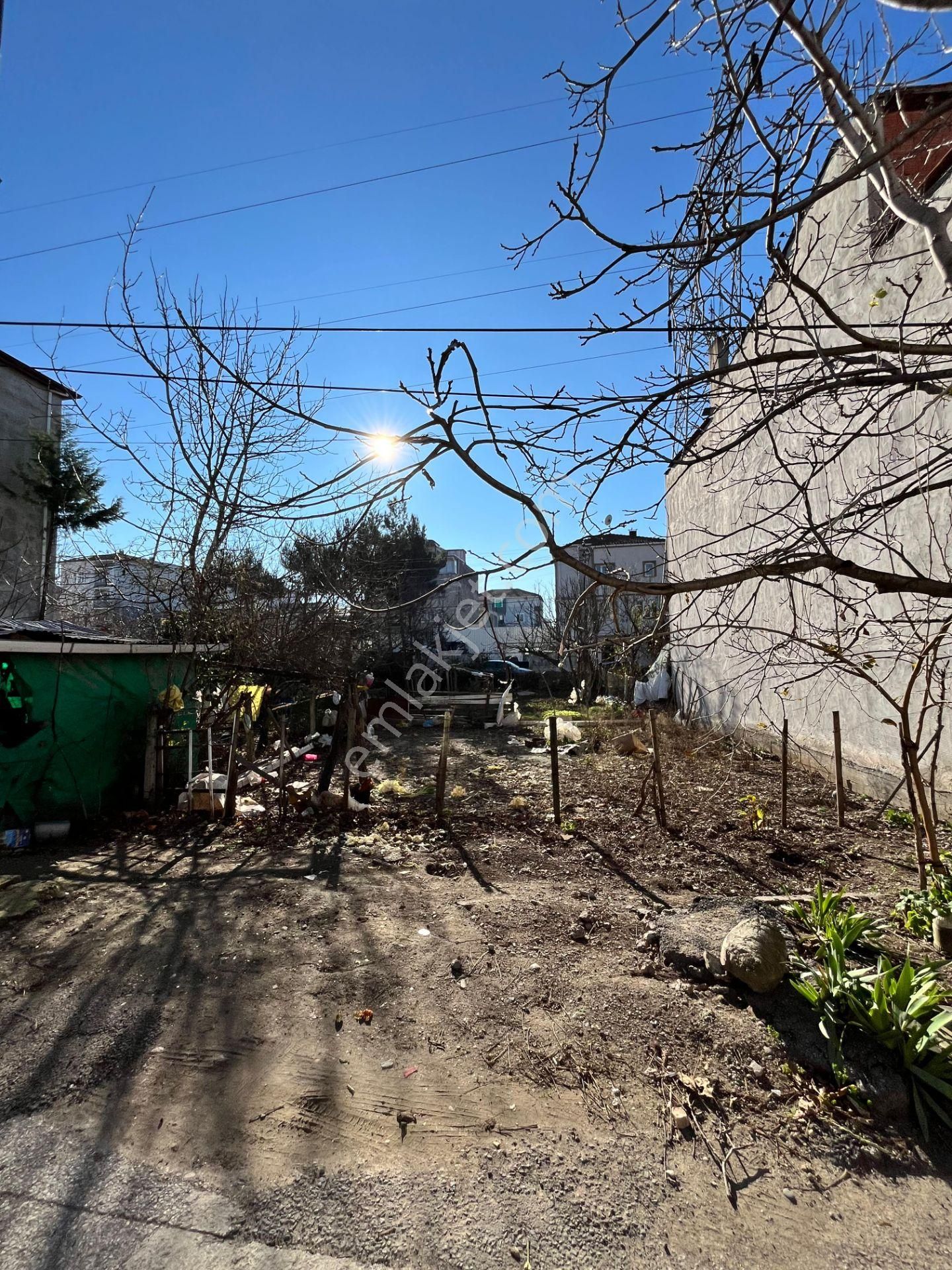 Bafra Fevzi Çakmak Satılık Konut İmarlı Bafra Vıp Gayrimenkulden Fevziçakmak Mah. Satılık Arsa