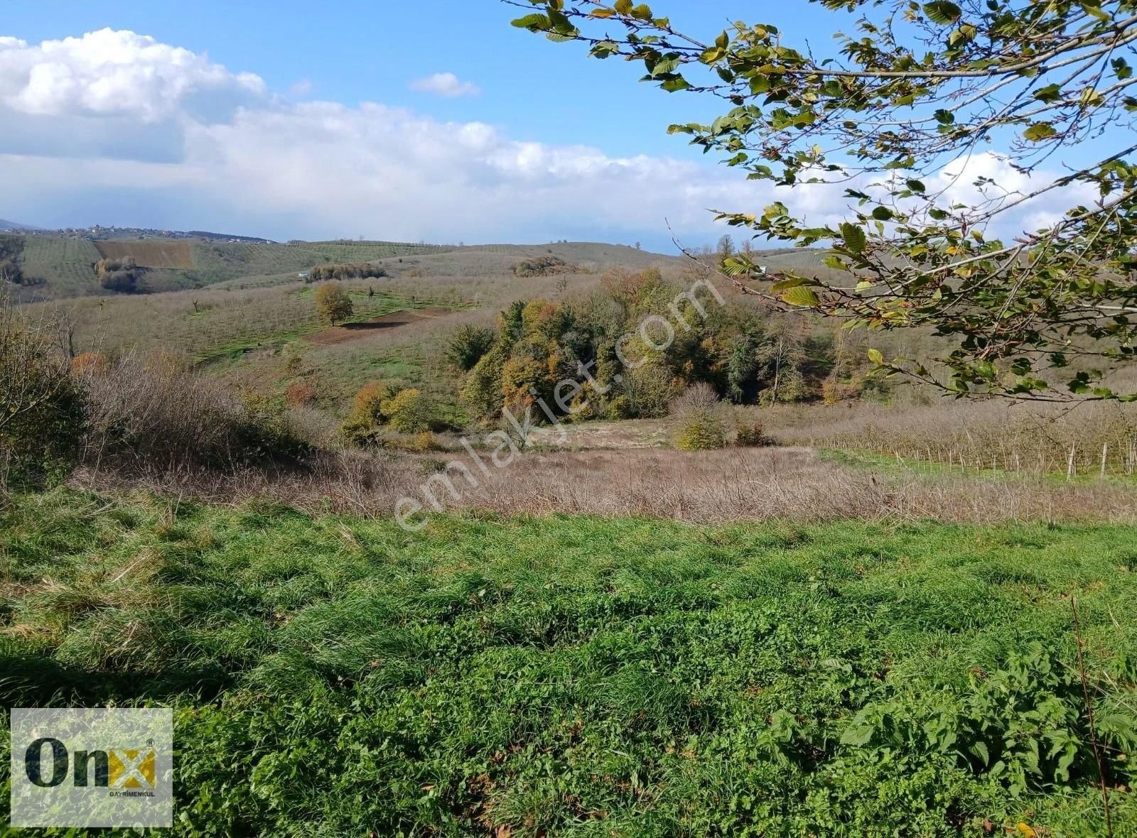 Ferizli Teberik Satılık Tarla Ferizli Teberik Mh Anayol Cepheli 11.650 M2 Tarla