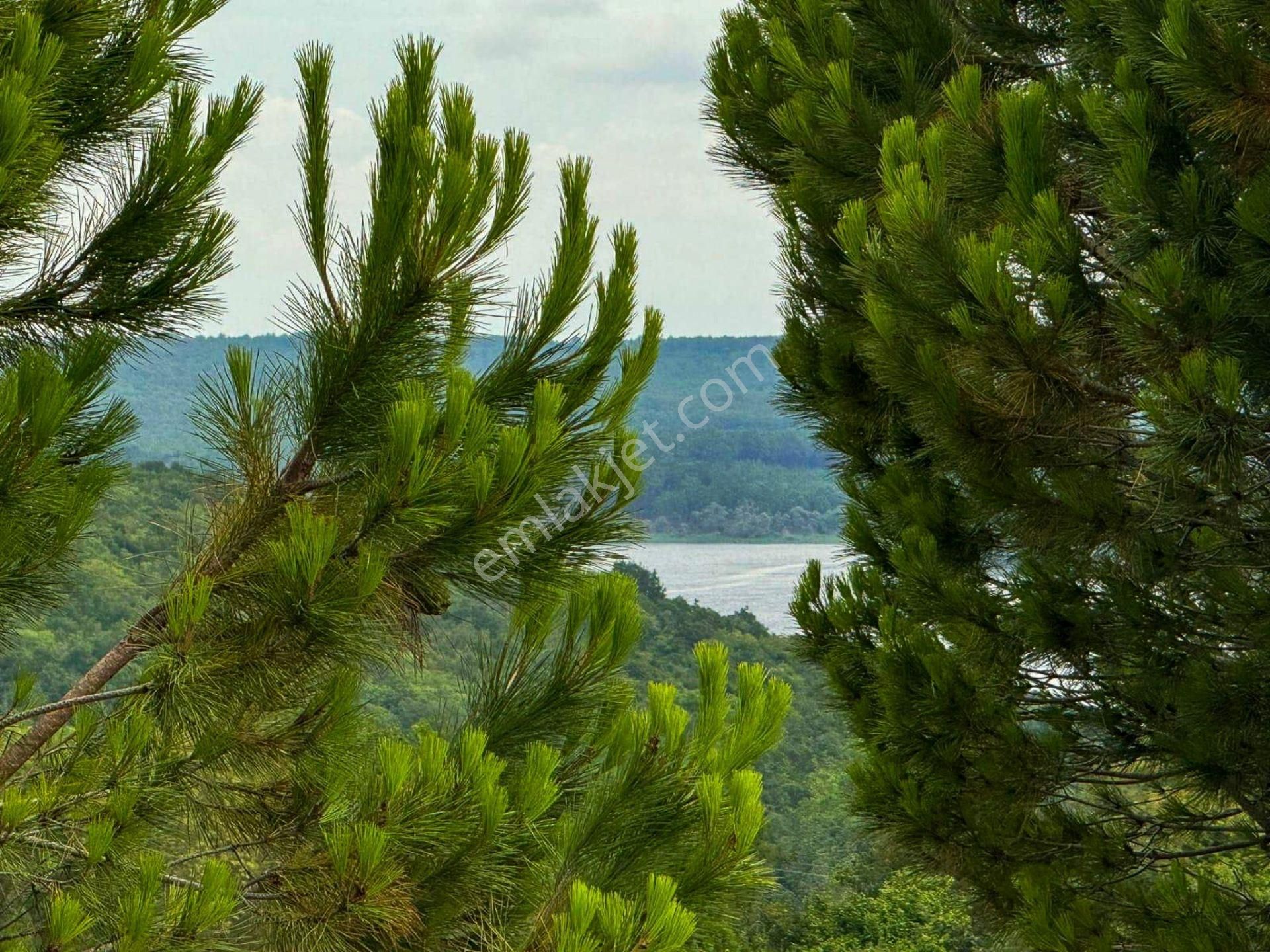 Yeni İstanbul Havalimanına Yakın Konumlu Yatırımlık Satılık Arsa - Görsel 6