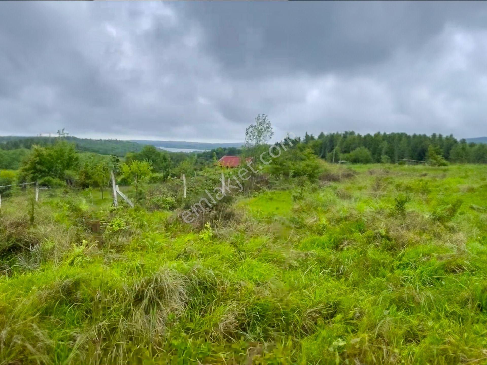 Yeni İstanbul Havalimanına Yakın Konumlu Yatırımlık Satılık Arsa - Görsel 4