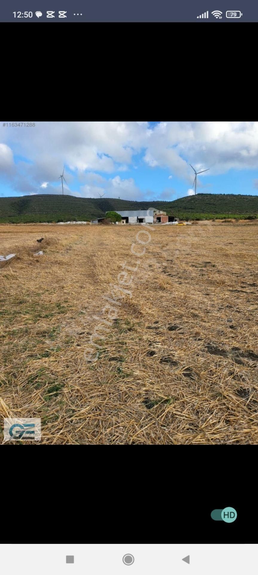 Biga Kocagür Köyü Satılık Tarla Çanakkale Biga Kocagürde Satılık Tarla