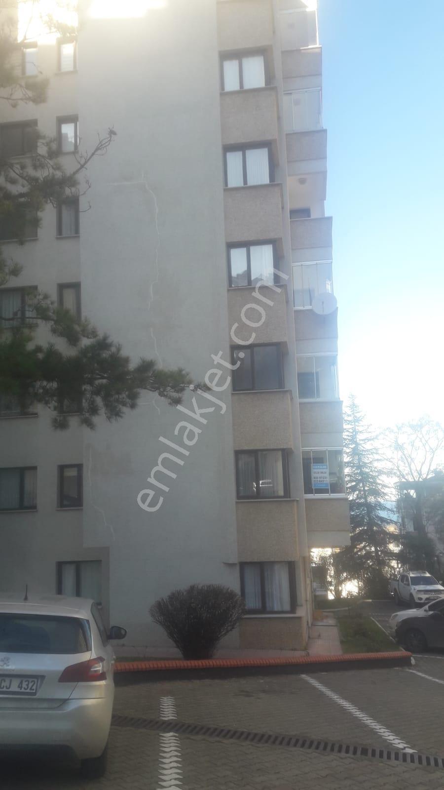 Selen Emlaktan 1 Nolu Beşirlide Satılık Daire - Görsel 4
