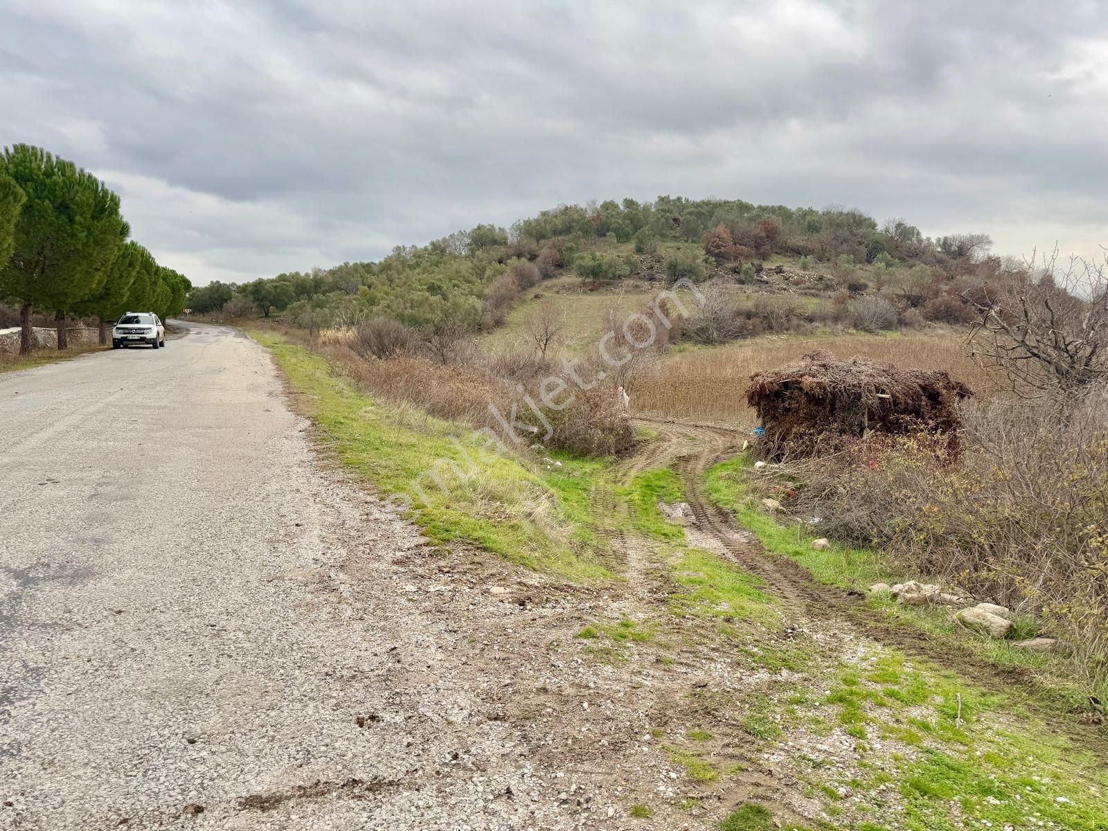 Yunusemre Maldan Satılık Tarla Manisa Maldan Da 13.500 M2 Tarla , Asfalta Sıfır , 2 Ayrı Tapu