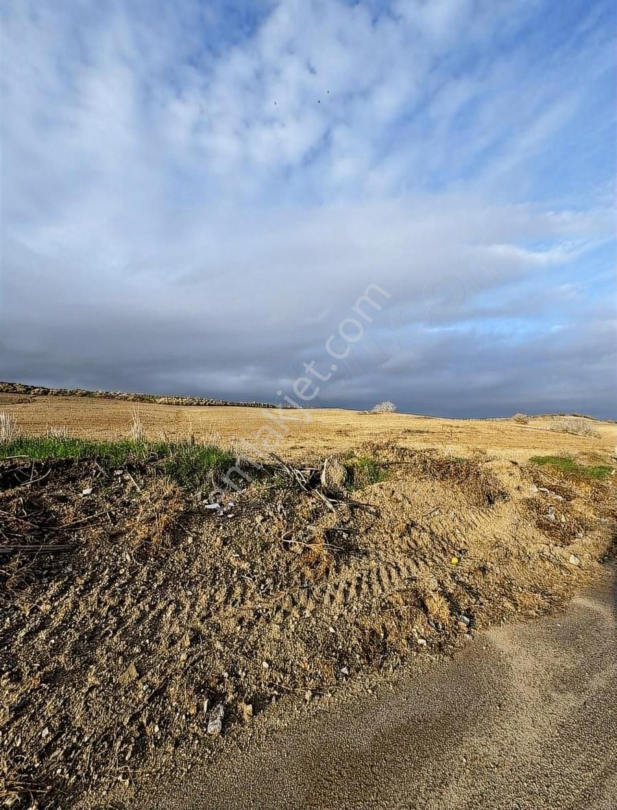 Karataş Karşıyaka Satılık Tarla Adana Karataşta 8 Kata İmarlı Deniz Manzaralı Yatırımlıkarsa