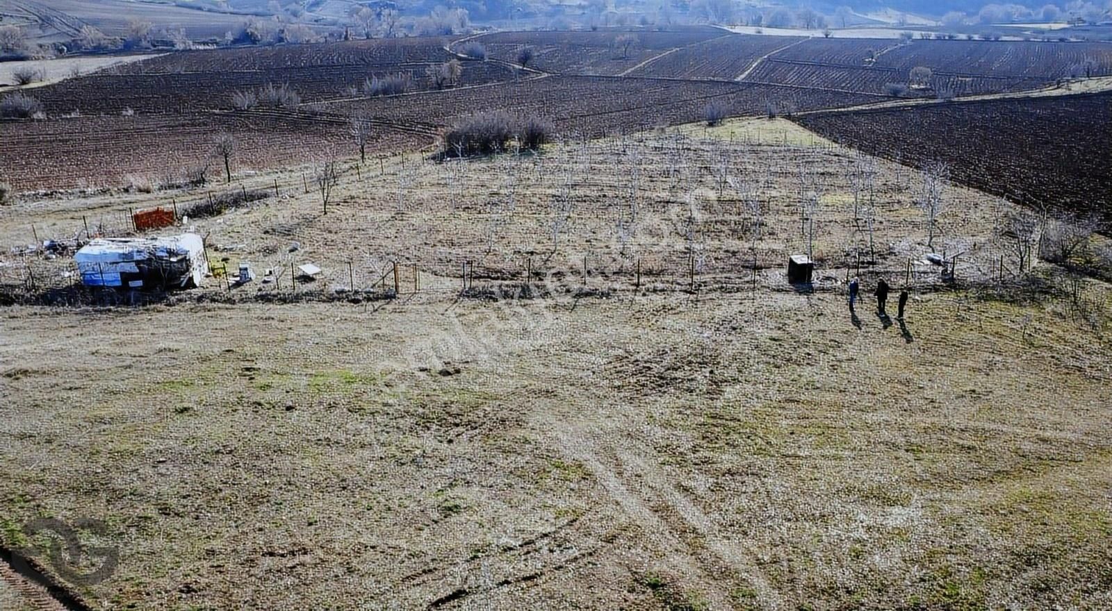 Karacabey Subaşı Satılık Tarla Karacabey Subuşı Köyünde Satılık Fırsat Tarla