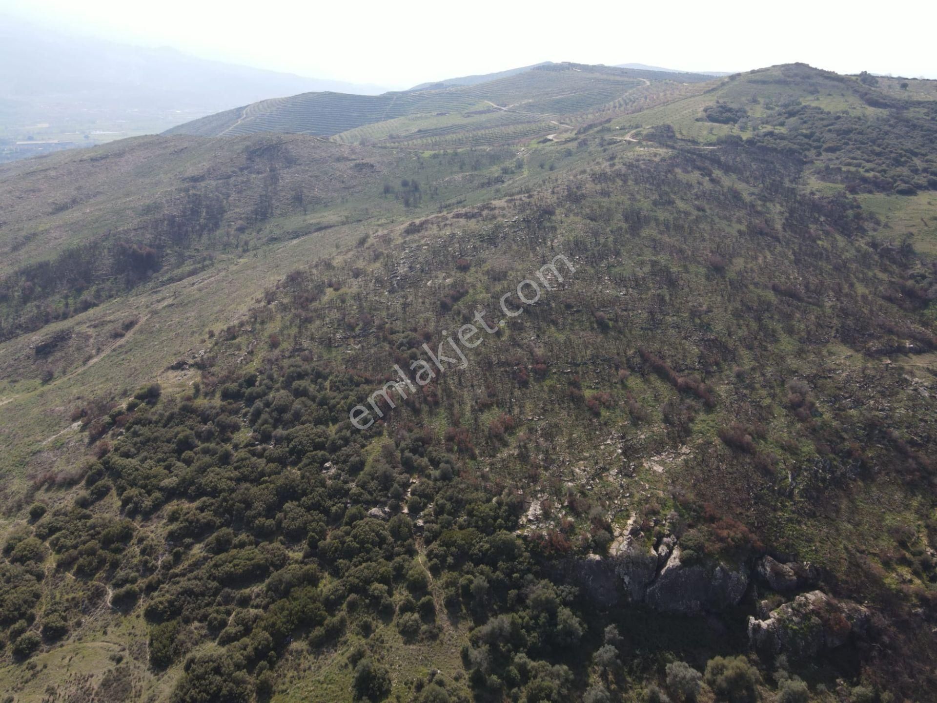 İzmir Tire Karateke De" Yatırım Fırsatı İmar Projeli - Görsel 9