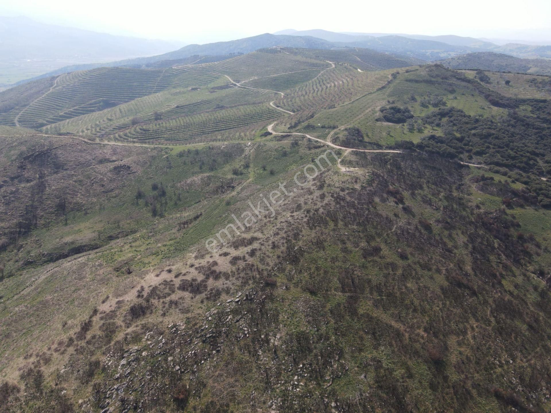 İzmir Tire Karateke De" Yatırım Fırsatı İmar Projeli - Görsel 10