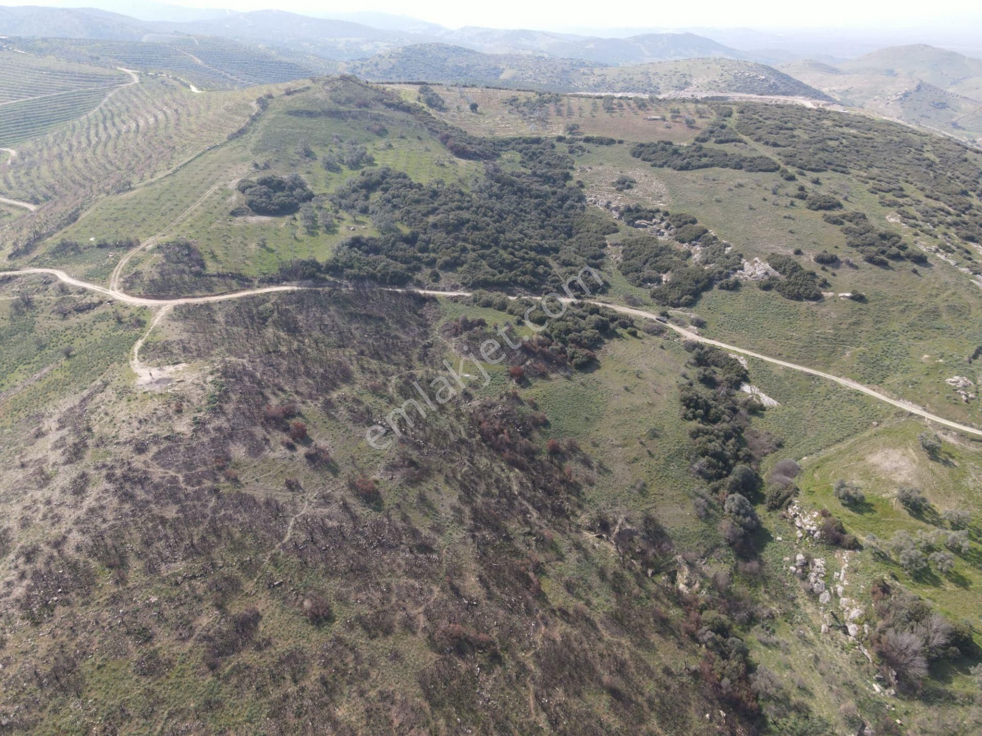 İzmir Tire Karateke De" Yatırım Fırsatı İmar Projeli - Görsel 5