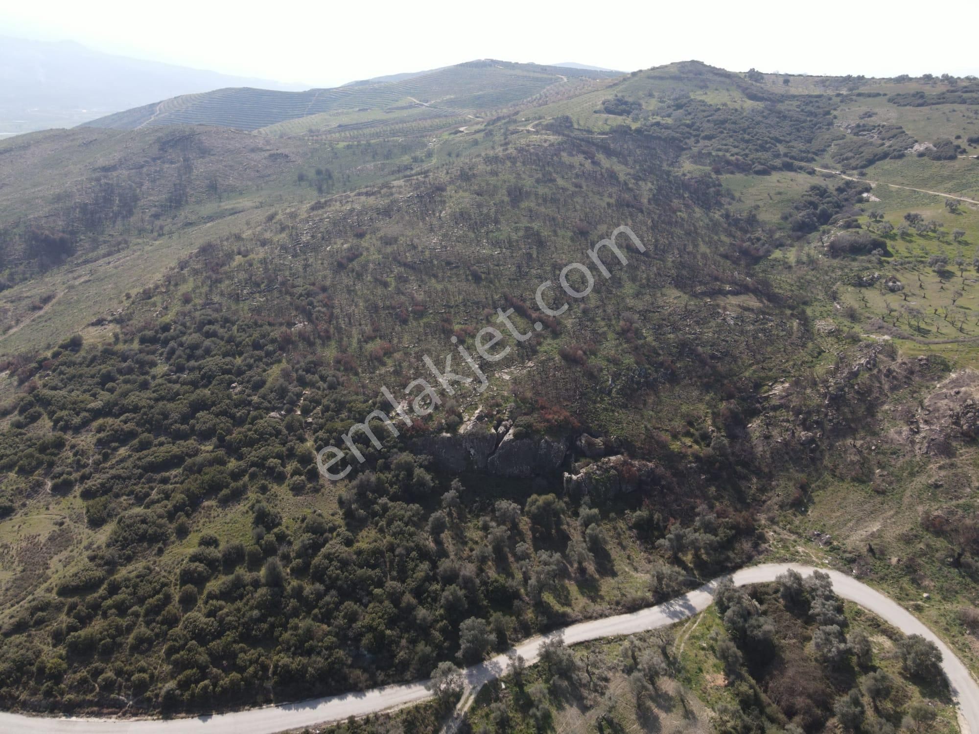 İzmir Tire Karateke De" Yatırım Fırsatı İmar Projeli - Görsel 6