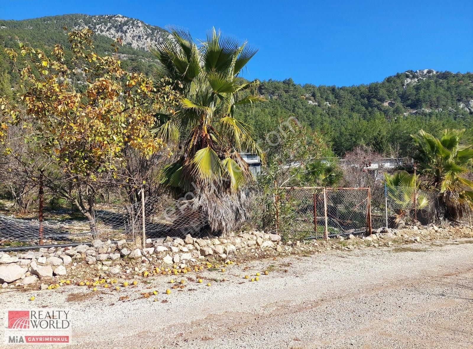 Kemer Beycik Satılık Tarla Kemer Beycik'te 3863 M2 Villa Siteleri Komşu Satılık Nar Bahçesi