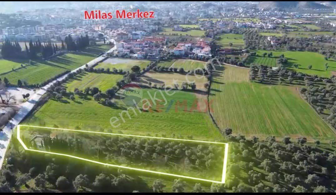 Milas Hacıabti Satılık Arazi Remax Zümrüt'ten Milas Merkezde 2 Katlı 3+1 Ev Bulunan Tarla