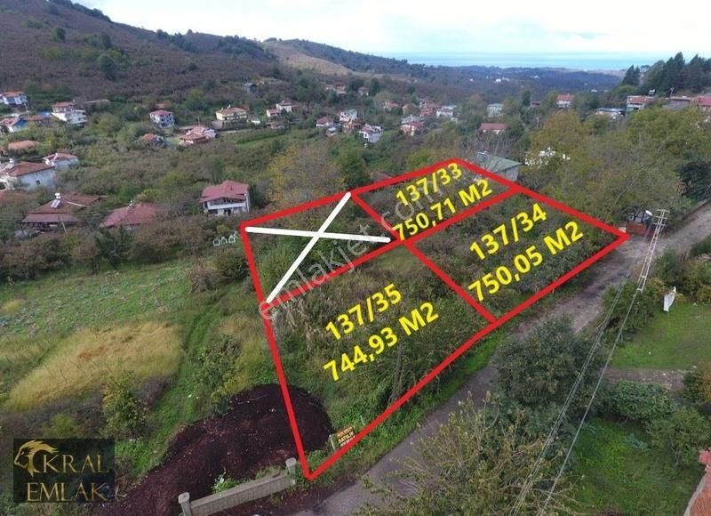 Akçakoca Aktaş Köyü Satılık Konut İmarlı Aktaş Köyünde Parselenmiş İmarlı Deniz Manzaralı Satılık Arsalar