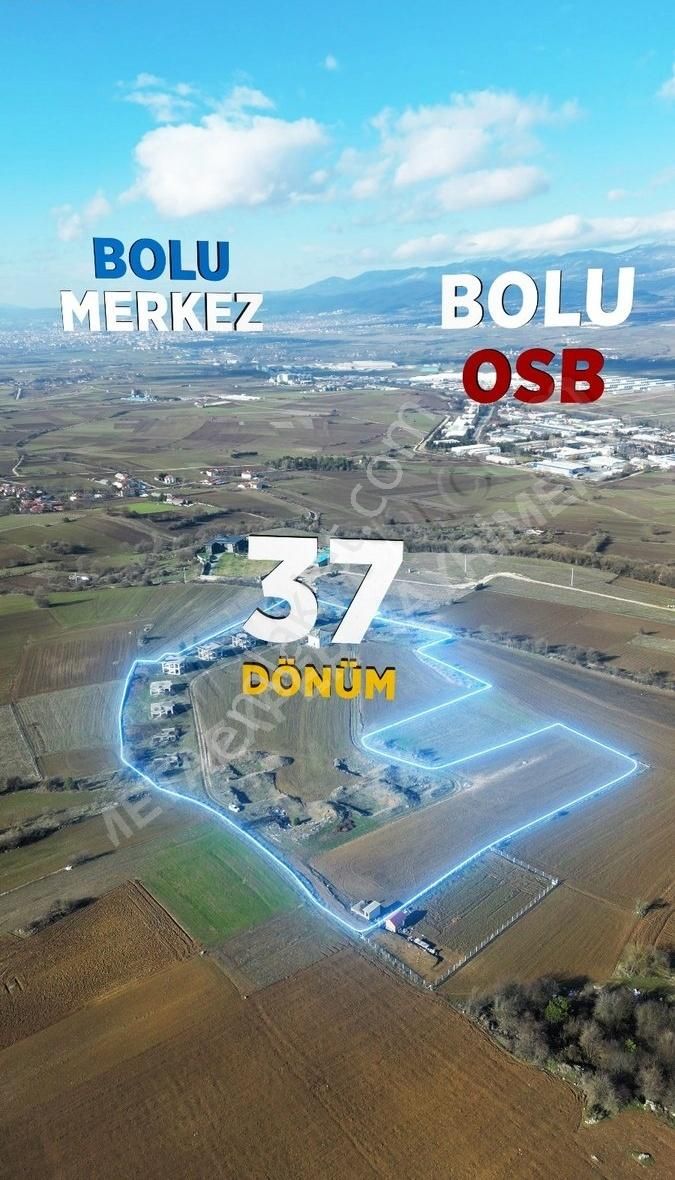 Bolu Merkez Saraycık Köyü (Yukarı) Satılık Konut İmarlı Bolu Osb Arkasında Kartalkaya Yolunda Konut İmarlı Arsa