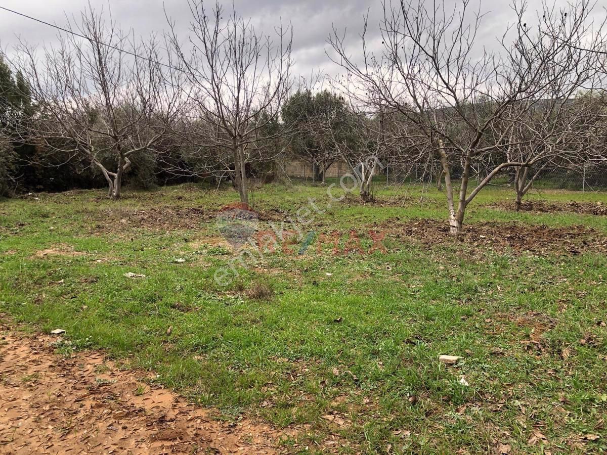 Menteşe Yerkesik Satılık Tarla Akyaka'ya 20 Dakika Mesafede Satılık Tarla