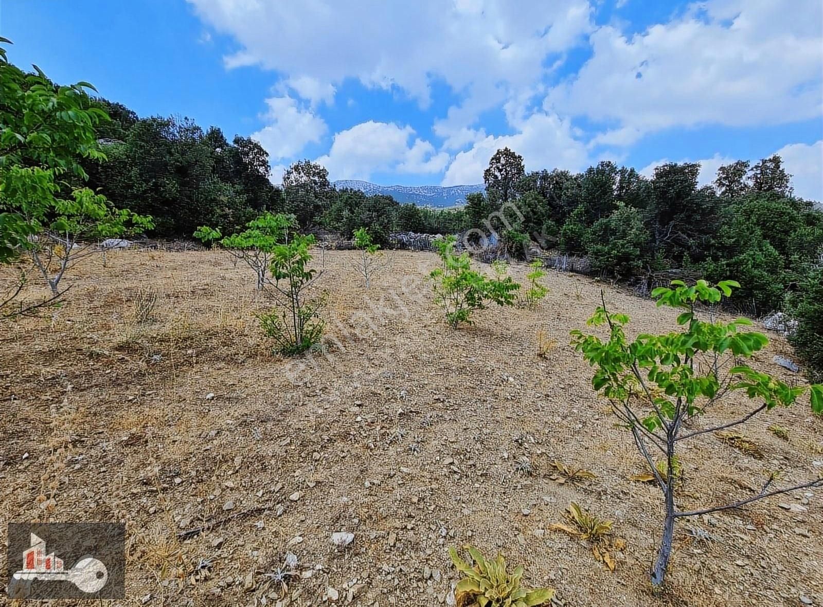 Çeltikçi Güvenli Köyü (Yukarı) Satılık Tarla Burdur Çeltikçi Güvenli Köyünde 9 Dönüm 2 Tarla