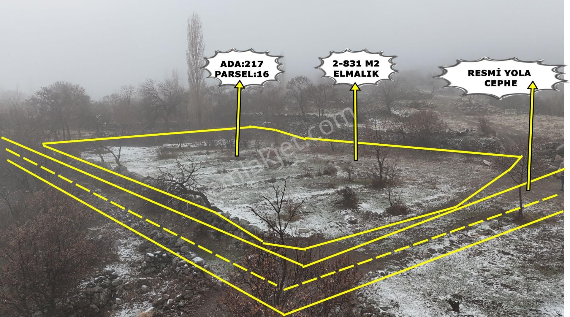 Niğde Merkez Hançerli Köyü Satılık Bağ & Bahçe E. Gökal Niğde - Hançerli 2.831 M2 Elmalık - Düz Zemin ! Takas !