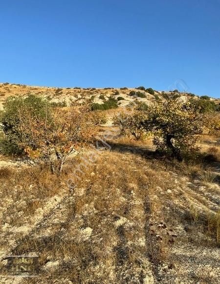 Şehitkamil Yukarı Arıl Satılık Bağ & Bahçe Yukarı Arılda 500er Metre Hisse Fıstık