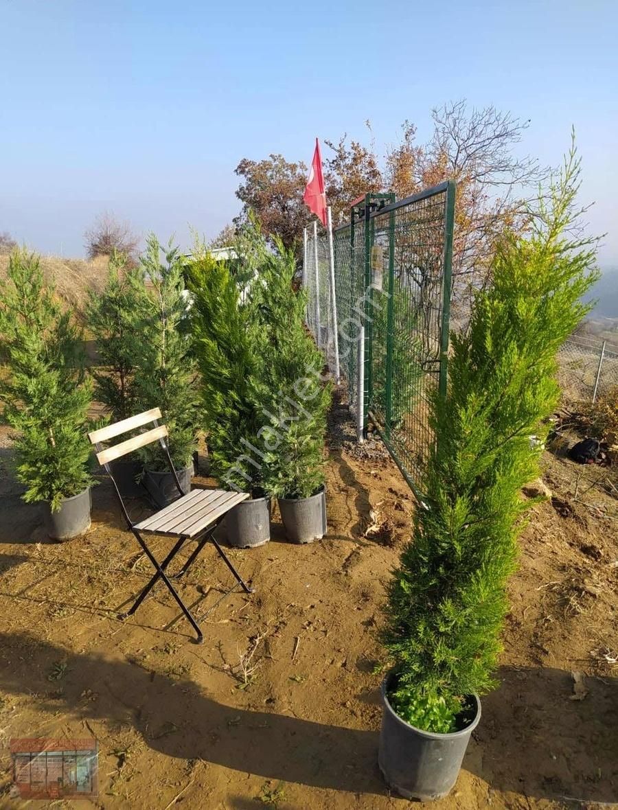 Aktaş 'tan İnegöl Karagölet Te Resmi Yola Cepe Tarla - Görsel 10