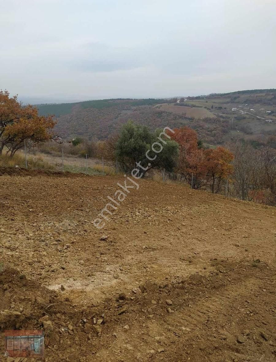 Aktaş 'tan İnegöl Karagölet Te Resmi Yola Cepe Tarla - Görsel 8