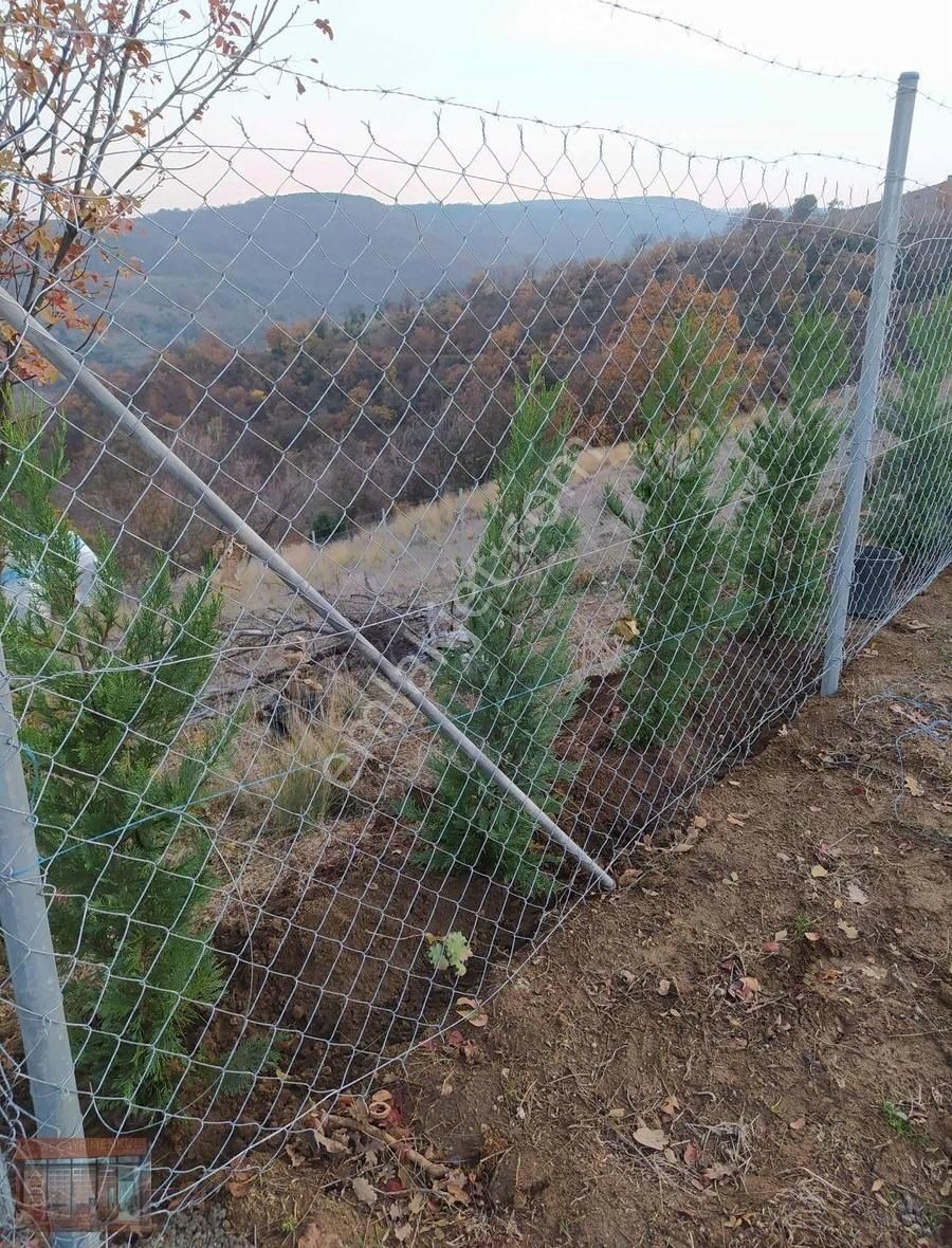 Aktaş 'tan İnegöl Karagölet Te Resmi Yola Cepe Tarla - Görsel 20