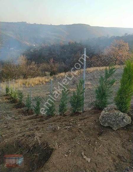 Aktaş 'tan İnegöl Karagölet Te Resmi Yola Cepe Tarla - Görsel 27