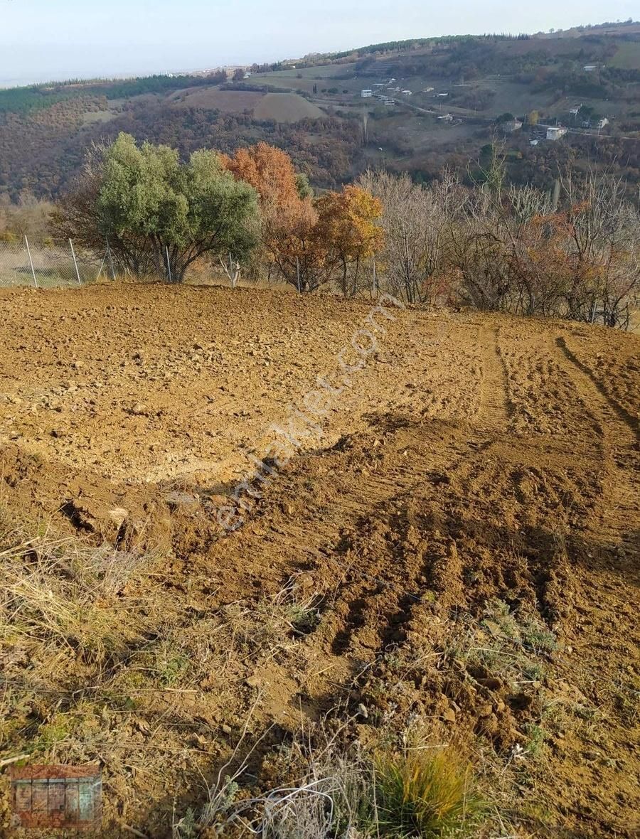 Aktaş 'tan İnegöl Karagölet Te Resmi Yola Cepe Tarla - Görsel 23
