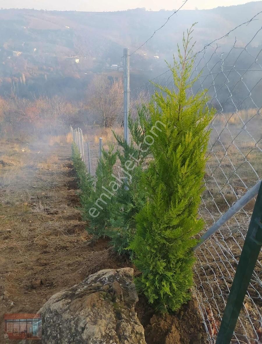 Aktaş 'tan İnegöl Karagölet Te Resmi Yola Cepe Tarla - Görsel 5