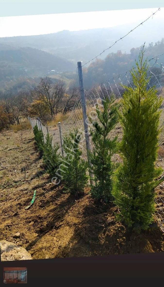 Aktaş 'tan İnegöl Karagölet Te Resmi Yola Cepe Tarla - Görsel 18