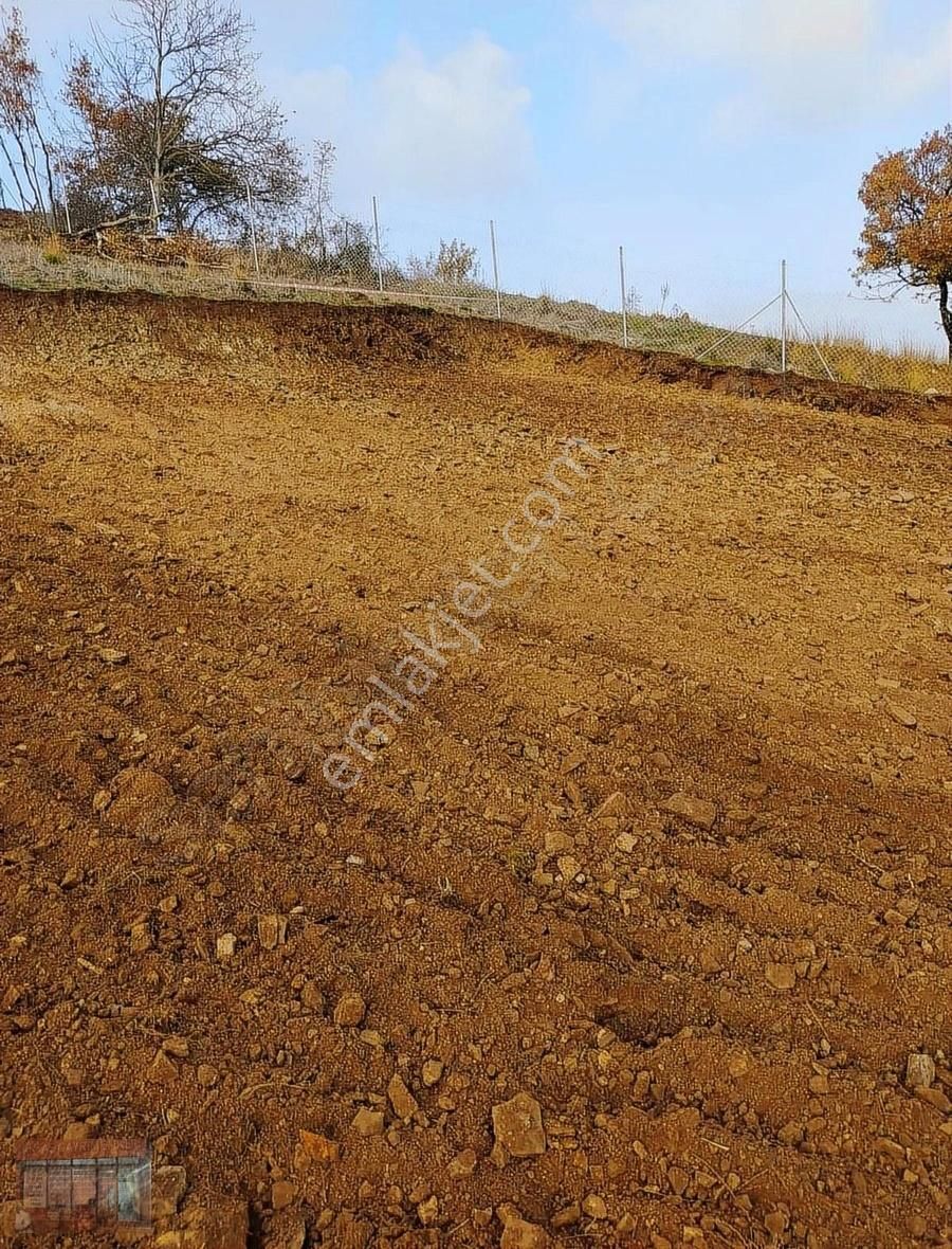 Aktaş 'tan İnegöl Karagölet Te Resmi Yola Cepe Tarla - Görsel 26